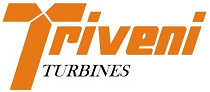 Triveni Turbine Limited Buyback offer