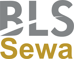 BLS E-Services IPO recommendations