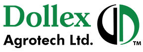 Dollex Agrotech SME IPO Allotment Status