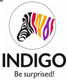 Indigo Paints IPO Live Subscription