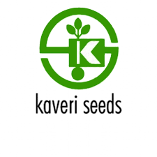 Kaveri Seed Company Buyback Jan 2024