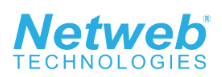 Netweb Technologies India IPO Allotment Status
