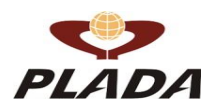 Plada Infotech Services SME IPO Detail